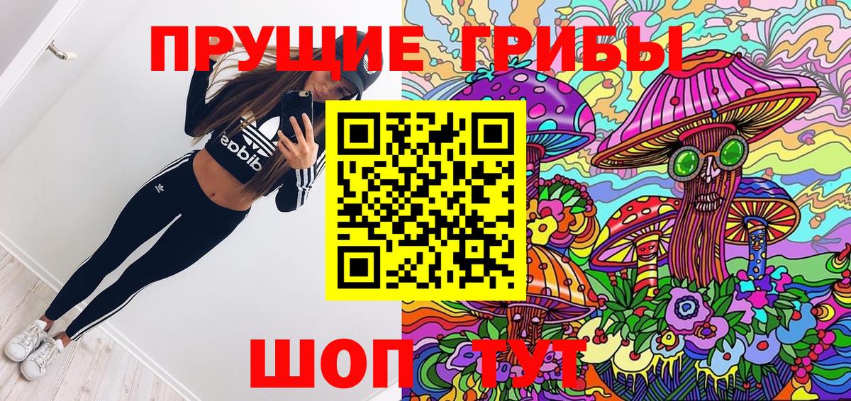 Псилоцибиновые грибы прущие грибы  Псилоцибиновые грибы Psilocybe  Санкт-Петербург  Вход с VPN 