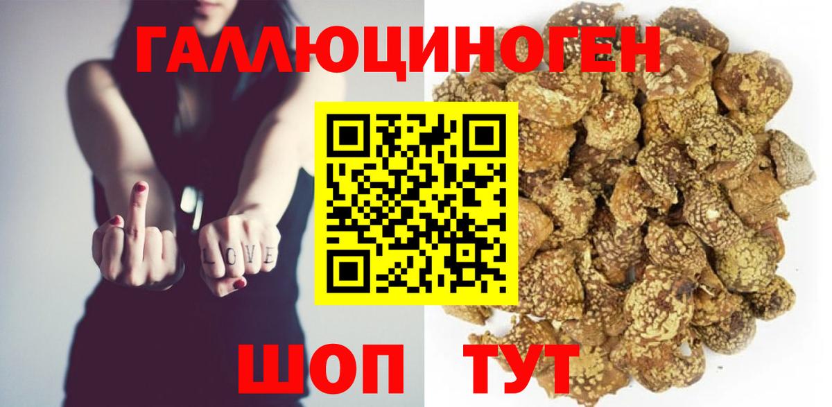Псилоцибиновые грибы GOLDEN TEACHER Санкт-Петербург