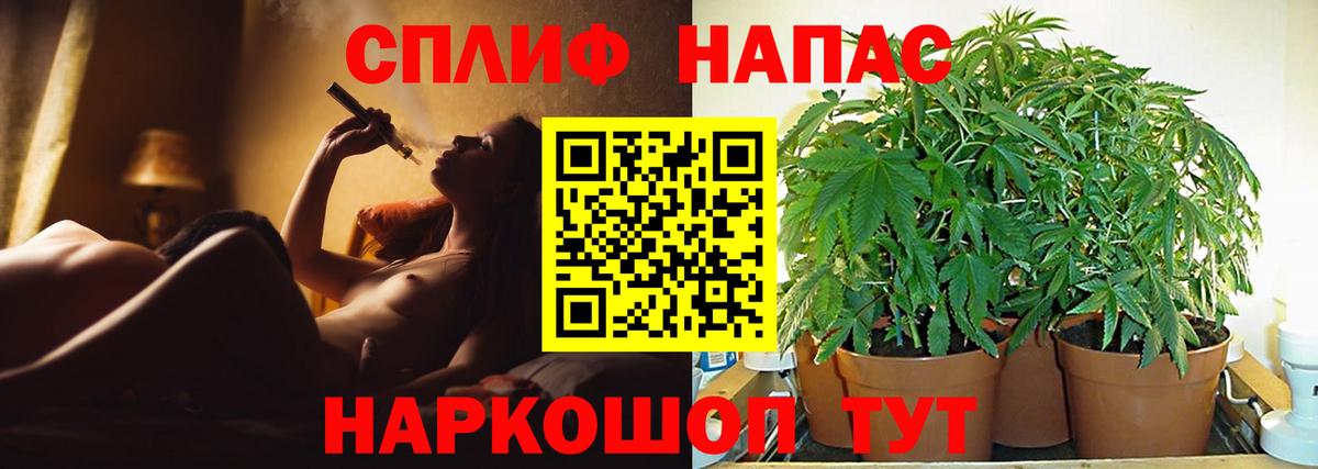 Канабис Bruce Banner Санкт-Петербург